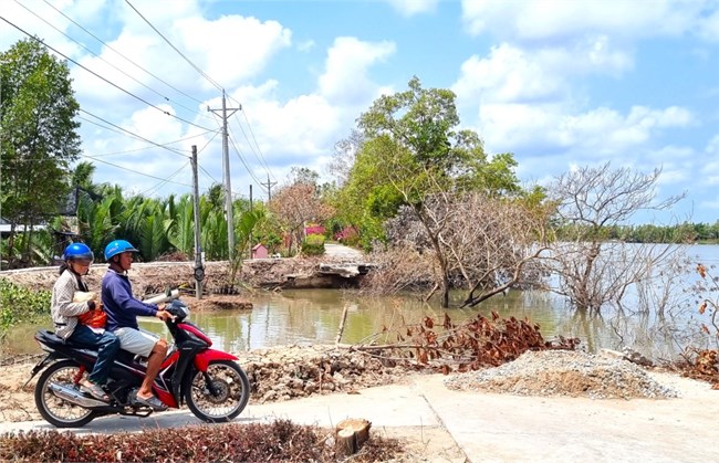 Cà Mau: Nan giải tình trạng sạt lở ven sông ngay trong mùa khô (5/5/2023)